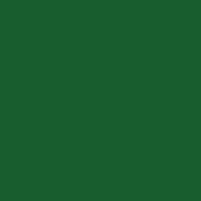 RAL 6002 - R20 Verde Foglia